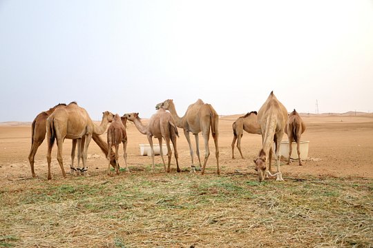 Tour image 8
