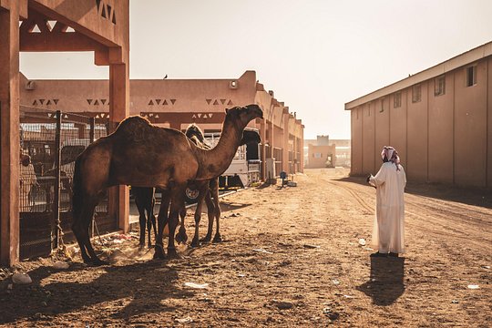 Tour image 2